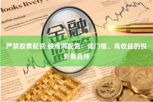 严禁股票配资 股点网配资:低门槛、高收益的投资新选择